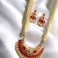 Madhushri tanmani necklace set